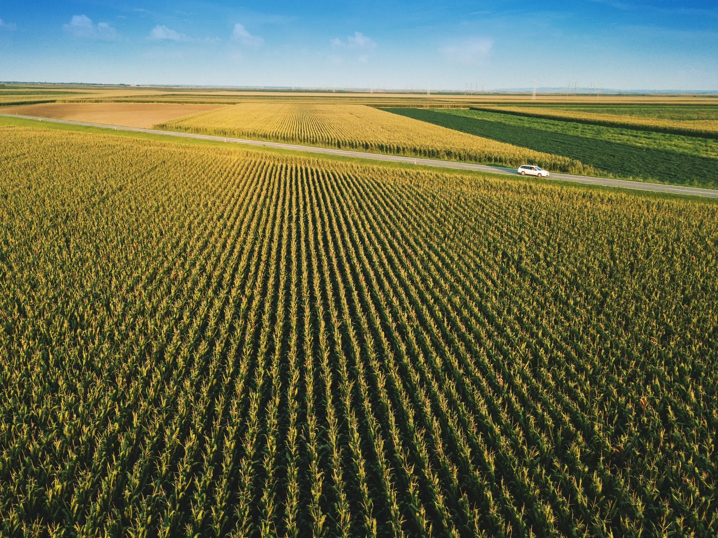 Investing in managed farmland: Why it is one of the best option during the 2020 economic crisis